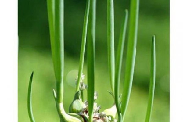 Кракен площадка kr2web in